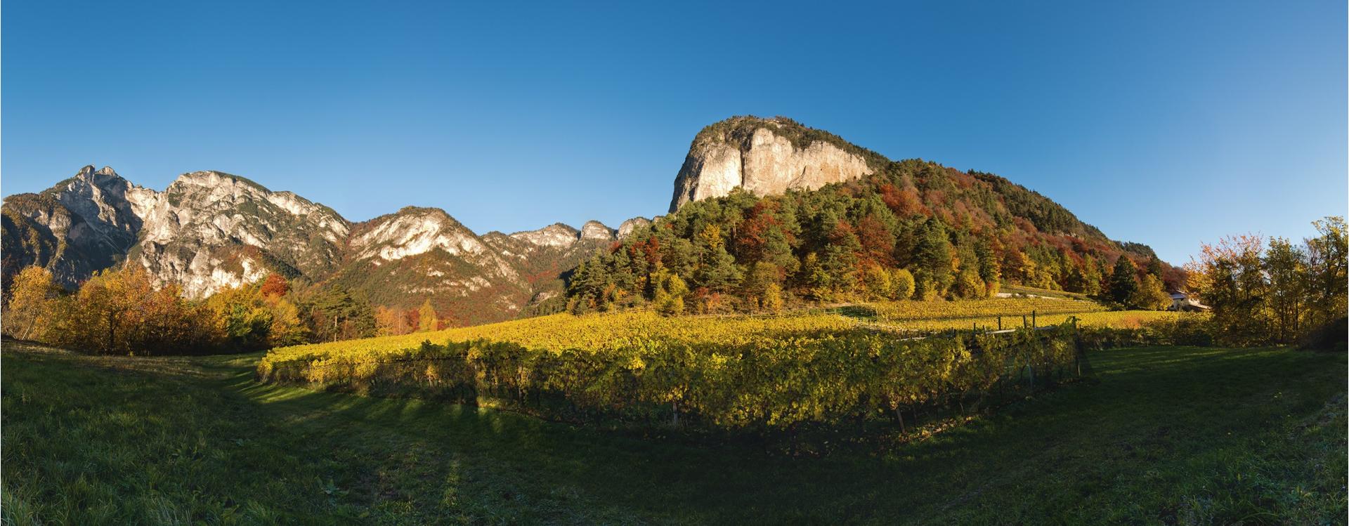 Weingut Tiefenbrunner | Schlosskellerei Turmhof
