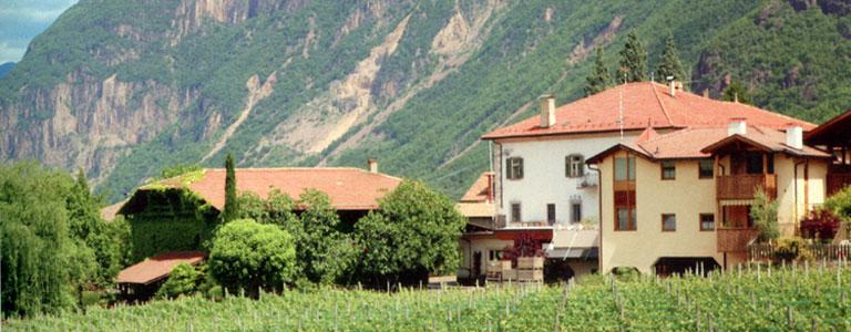 Weingut Waldthaler
